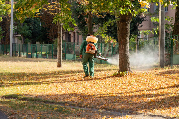 Best Pest Prevention Services  in Papillion, NE