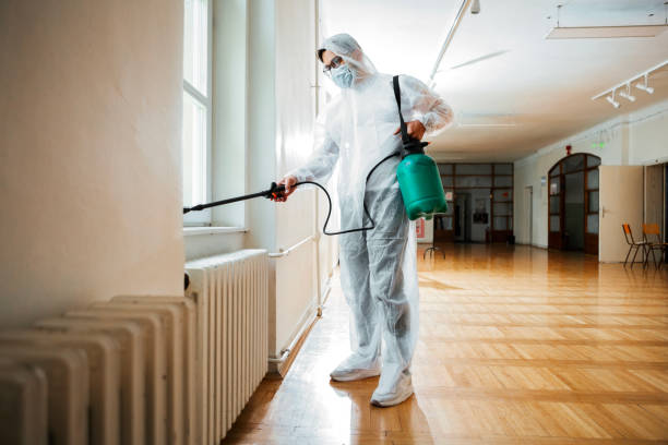 Best Mosquito Control Services  in Papillion, NE