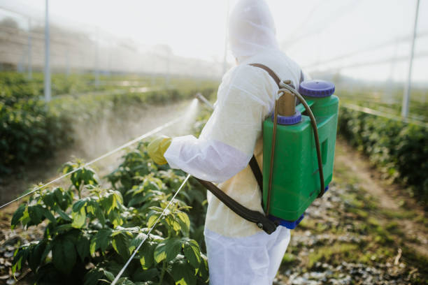 Pest Prevention Services in Papillion, NE